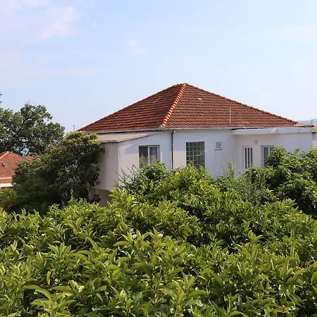 10202a Orebić